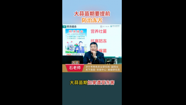 大蒜苗期要提前防治凍害 ()